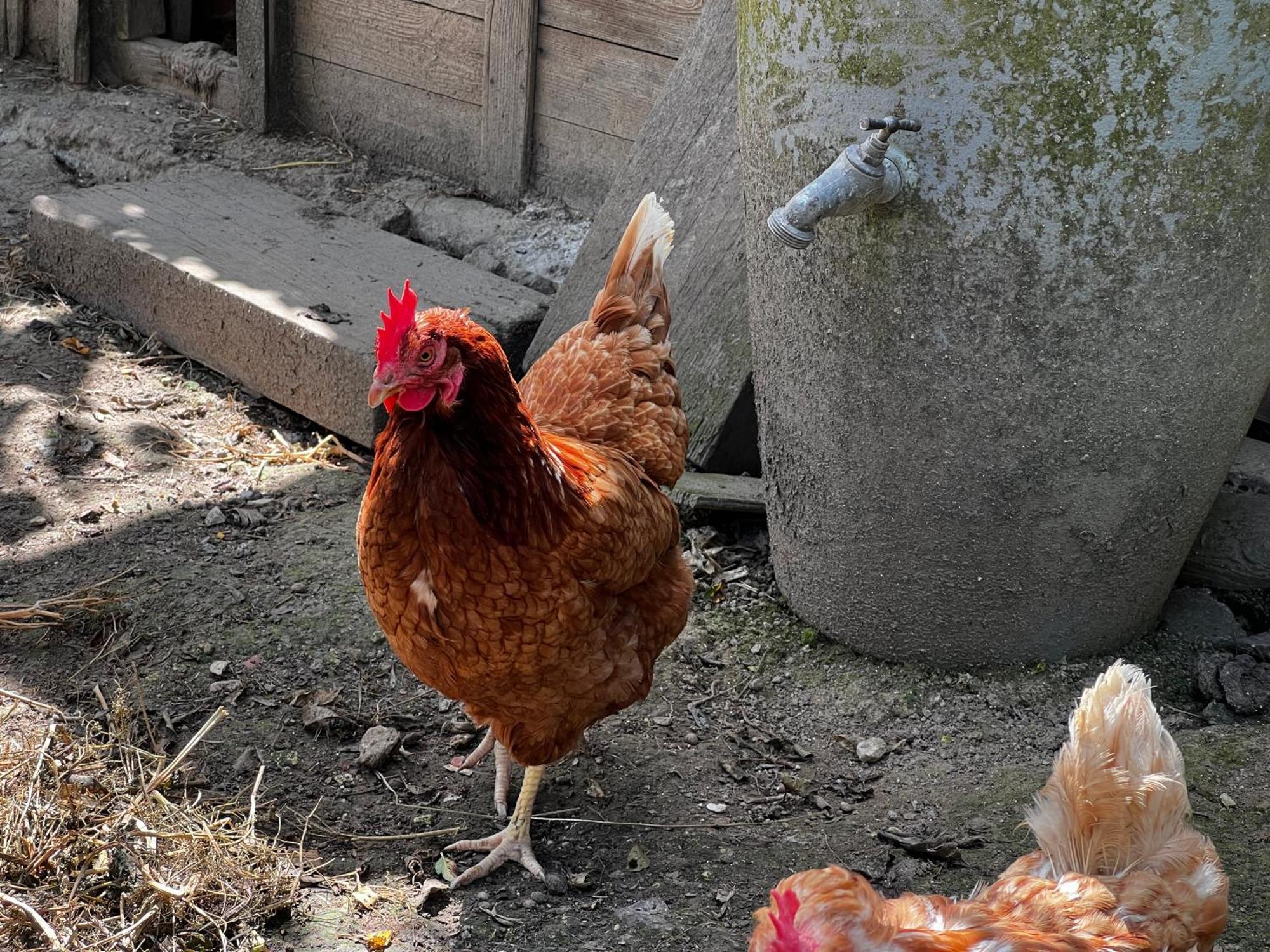 Bed and Breakfast A La Ferme De Thilloy Ligny-Thilloy Zewnętrze zdjęcie